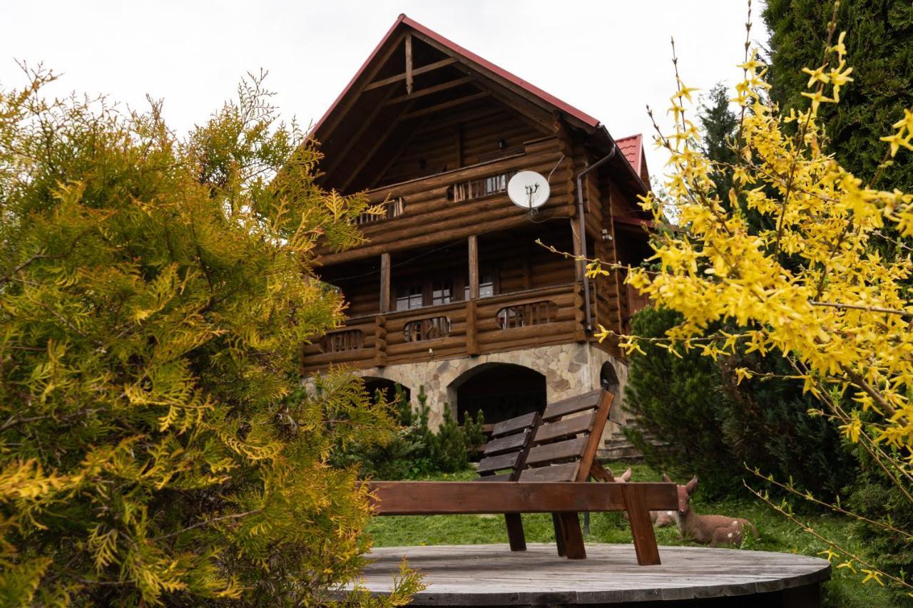 Медовий Vorokhta Exterior photo